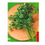 Bild von Petersilie Lidl 30 Gramm